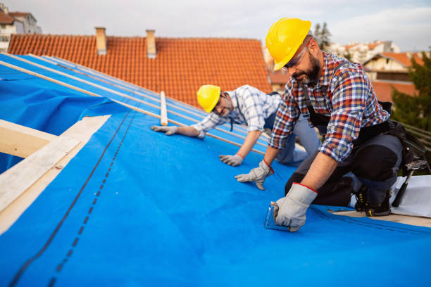 Best Gutter Installation and Repair  in St Louis, MI