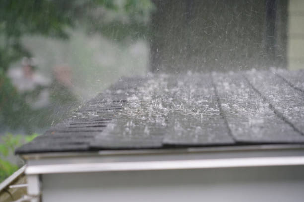 Best Roof Insulation Installation  in St Louis, MI