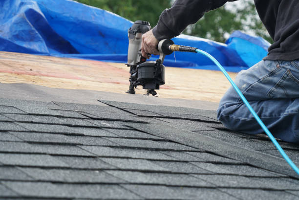 Best Storm Damage Roof Repair  in St Louis, MI
