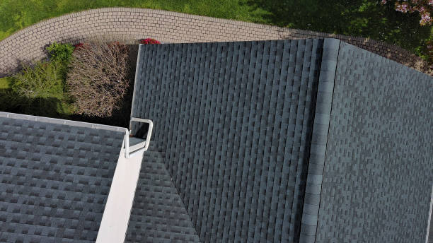 Best Roof Coating Services  in St Louis, MI