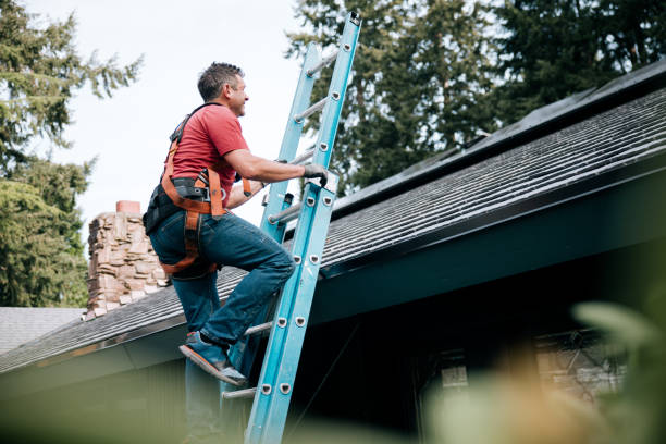 Best Roof Coating and Sealing  in St Louis, MI